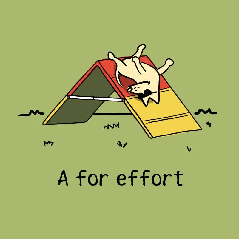 A For Effort - Ladies Plus V-Neck Tee