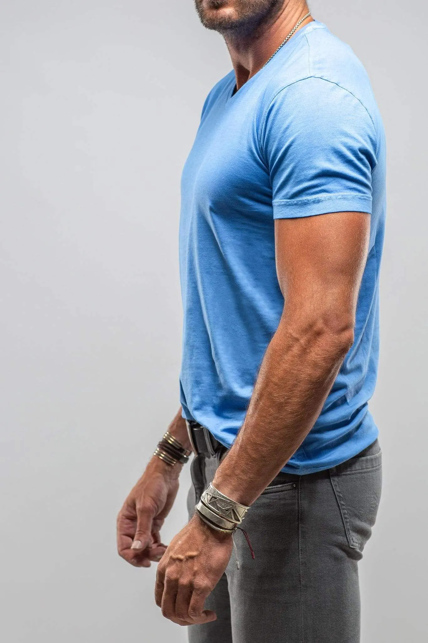 Siena Cotton V Neck Tee In Royal